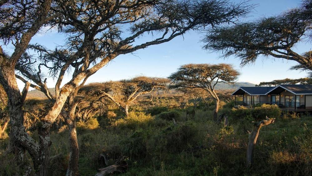 Karibu Camps And Lodges Lions Paw Ngorongoro Karatu Eksteriør bilde